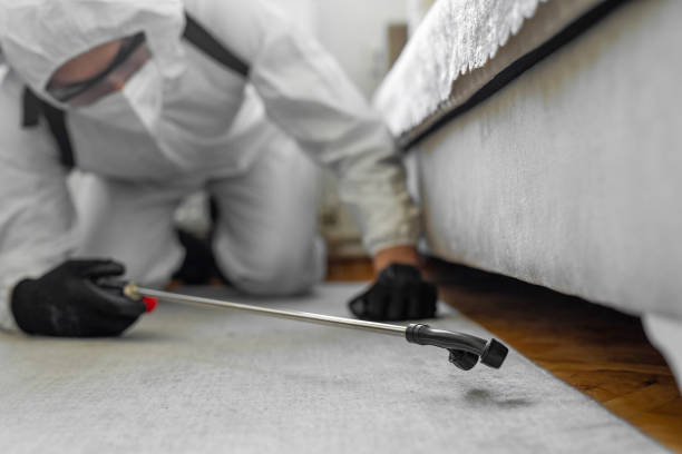 Professional Pest Control technician working in Franklin County County, FL